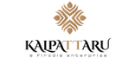 Logo 31